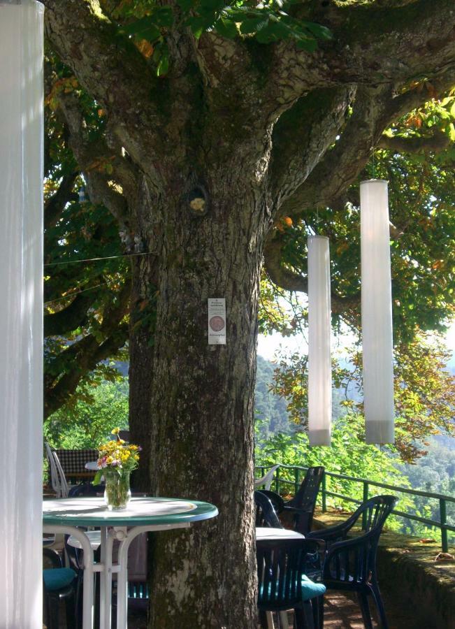 Hotel-Restaurant Burg-Ramstein Kordel Eksteriør bilde